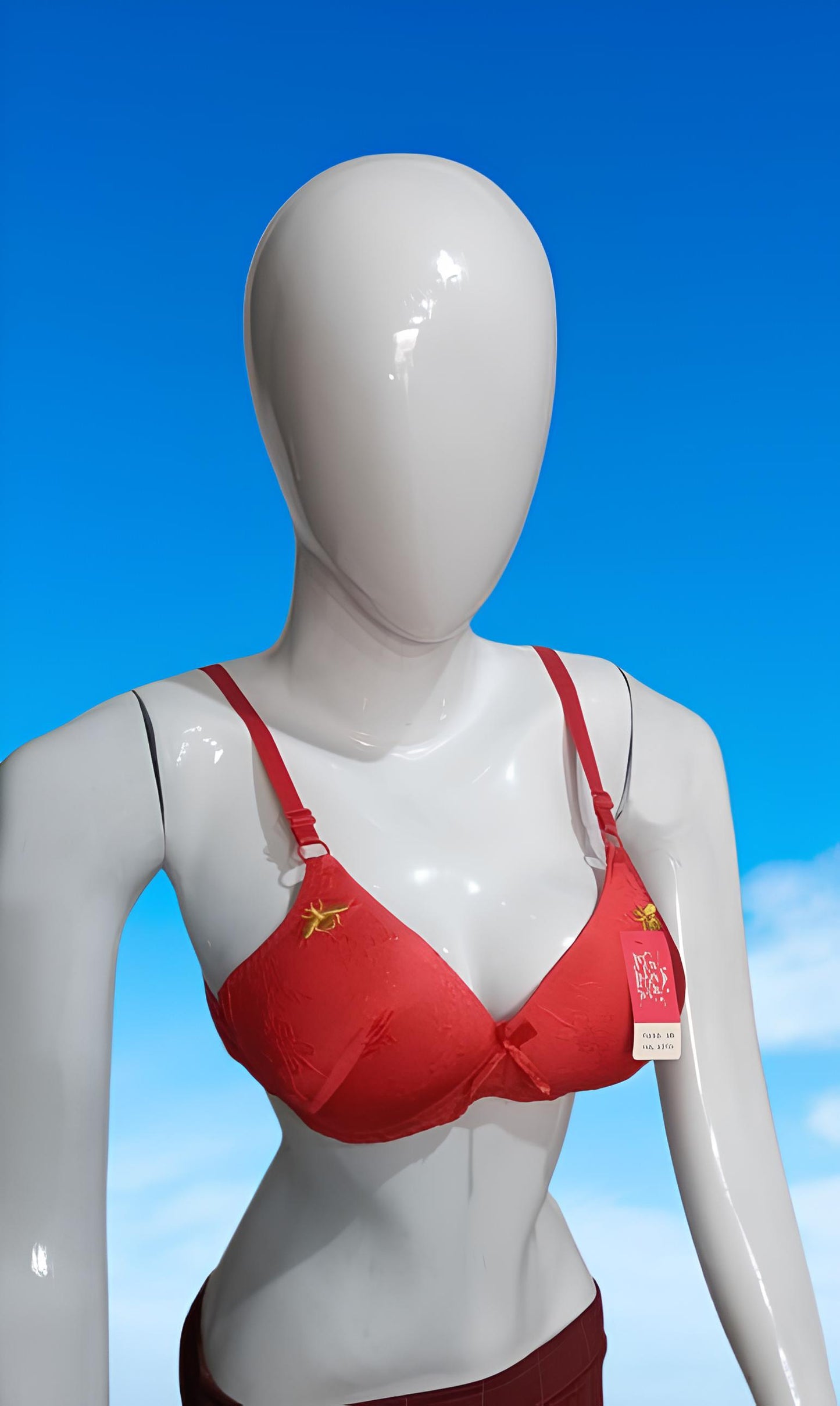 China Form Bra 44 to 56 size
